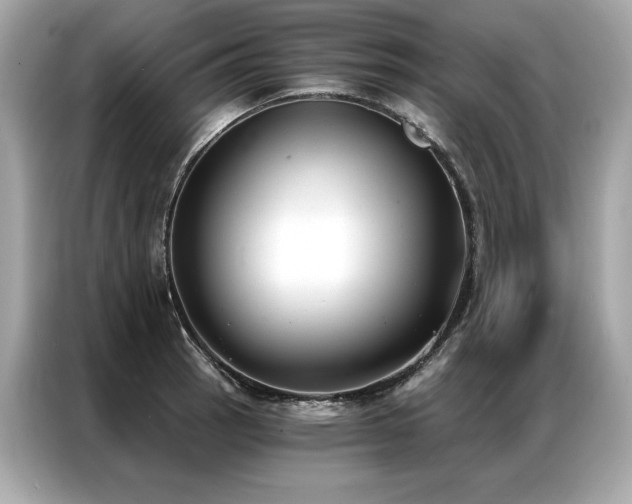 X0000087041137200704181210