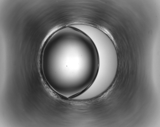 X0000087041138200704181210