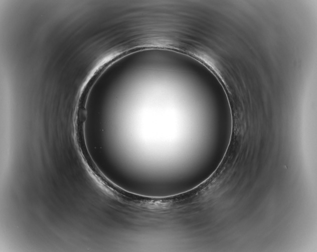 X0000087041139200704181210