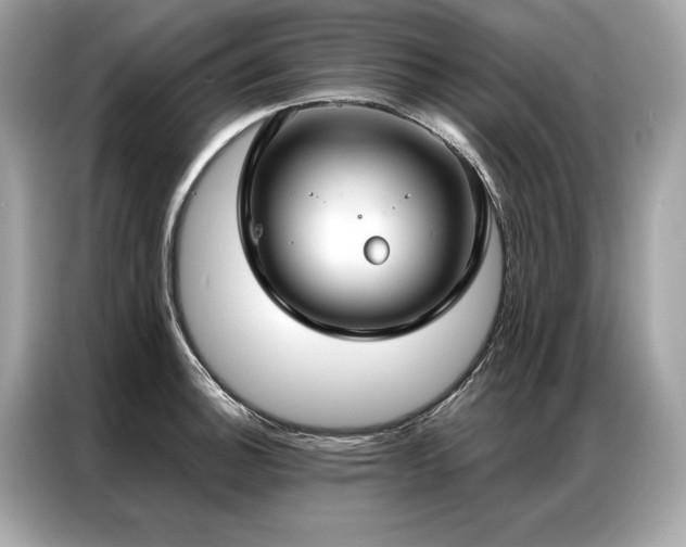 X0000087041140200704181210