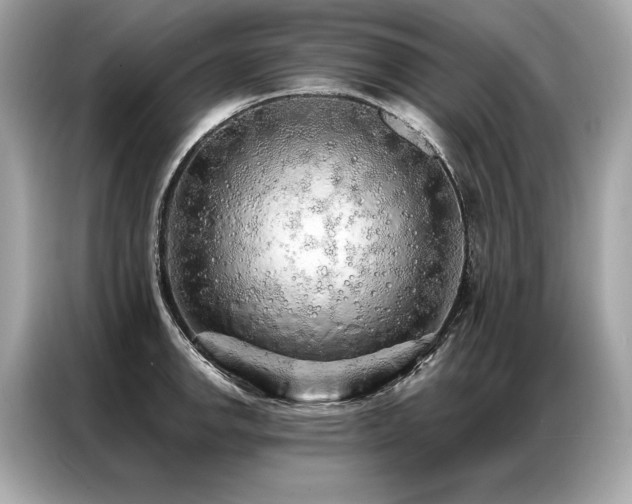 X0000087041142200704181210