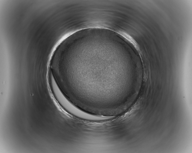 X0000087041144200704181210