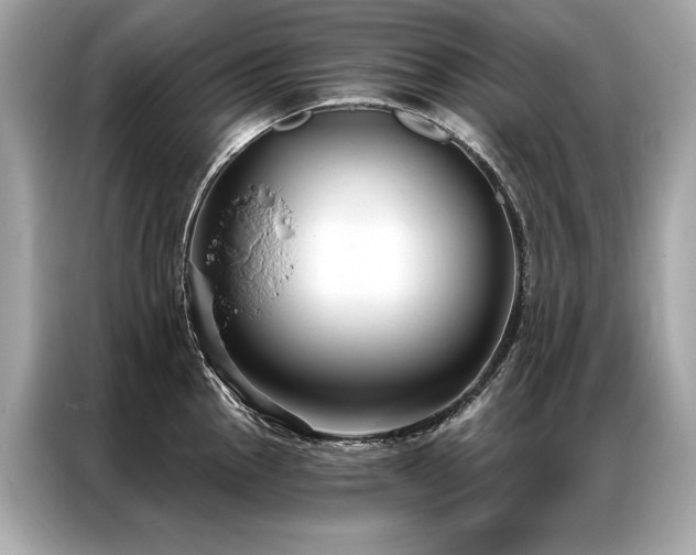 X0000087041145200704181210