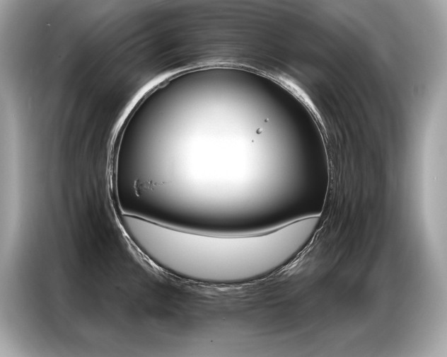 X0000087041148200704181210