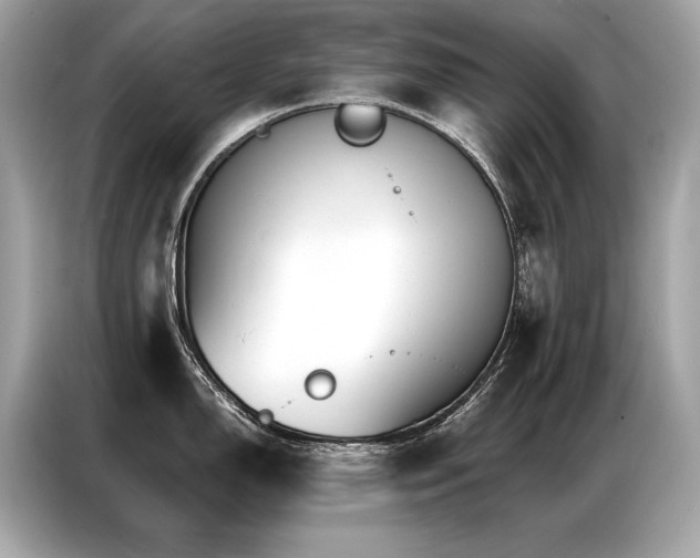 X0000087041150200704181210