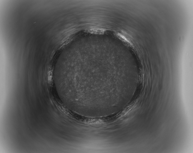 X0000087041154200704181209