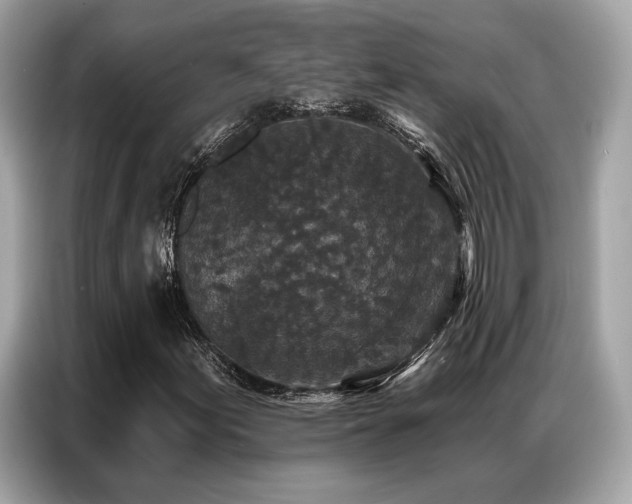 X0000087041155200704181209