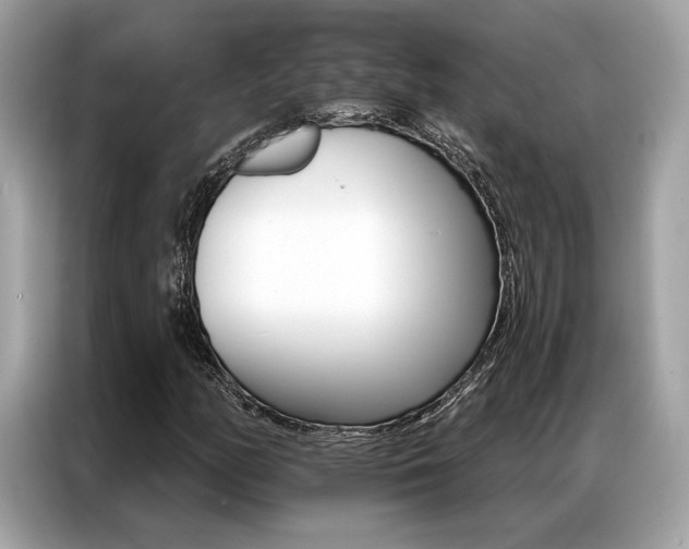 X0000087041158200704181209