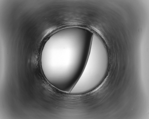 X0000087041163200704181209