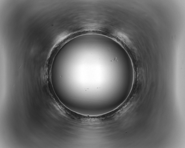 X0000087041164200704181209