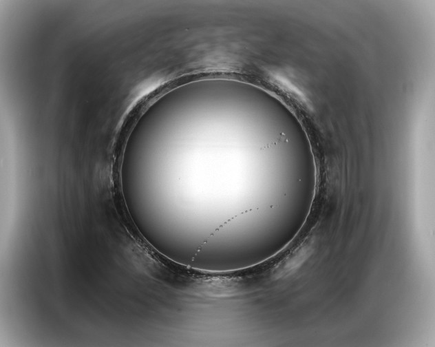 X0000087041166200704181209