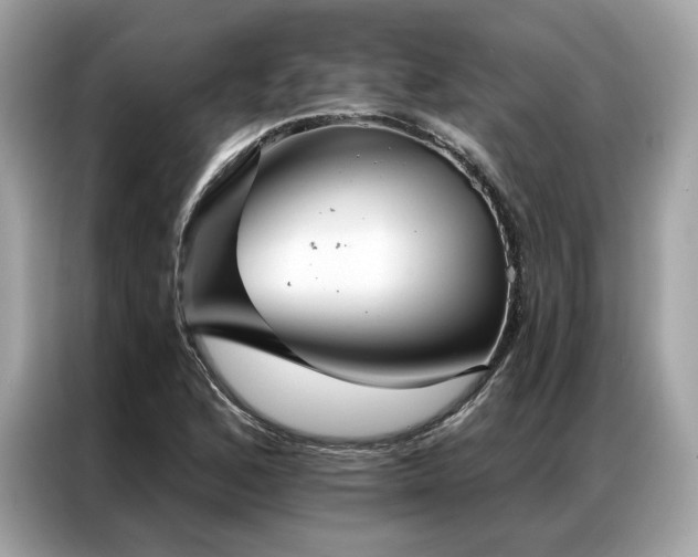 X0000087041168200704181209