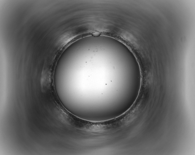 X0000087041169200704181209