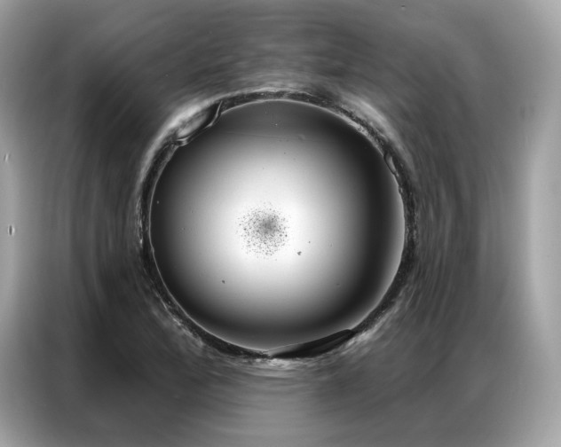 X0000087041172200704181209