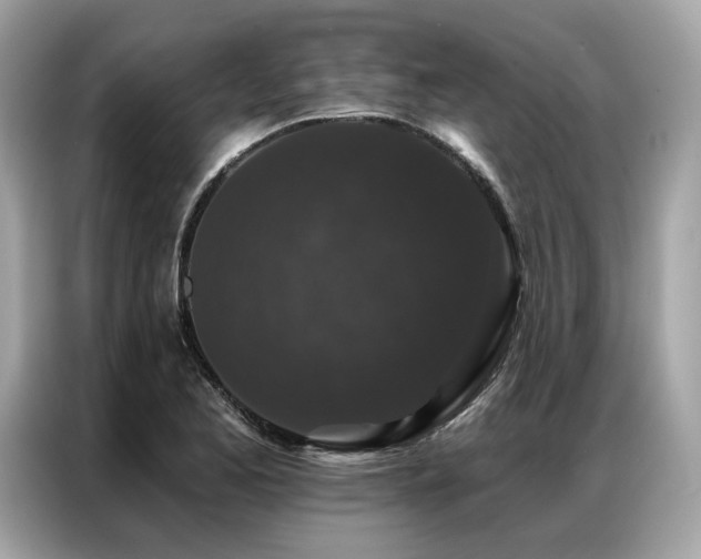 X0000087041173200704181209