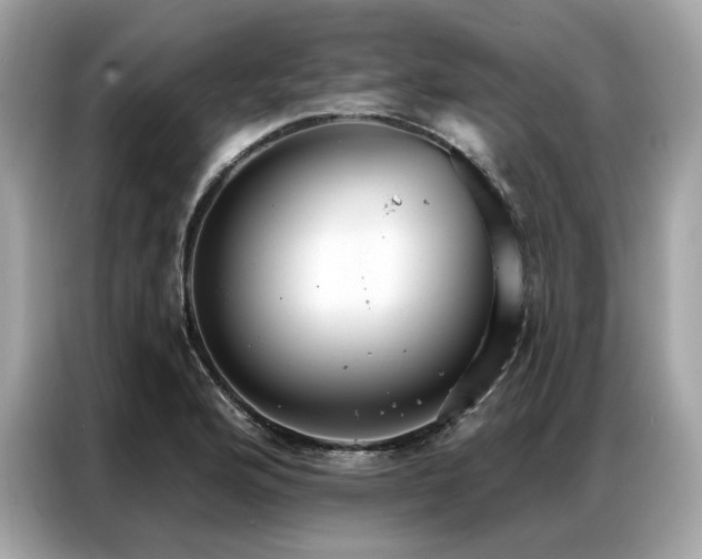 X0000087041176200704181209