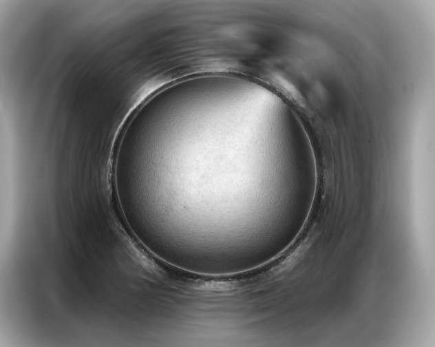 X0000087041178200704181209