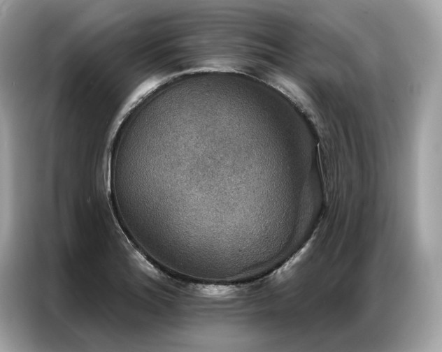 X0000087041180200704181209