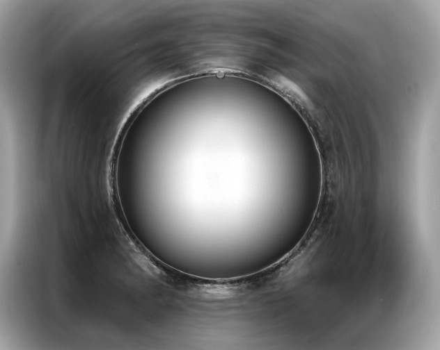 X0000087041182200704181209