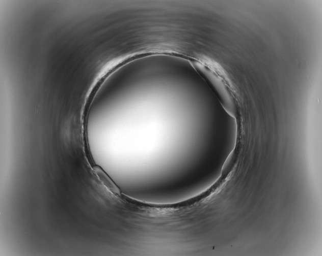 X0000087041184200704181209