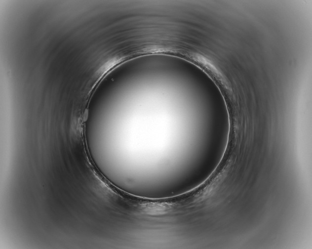 X0000087041185200704181209