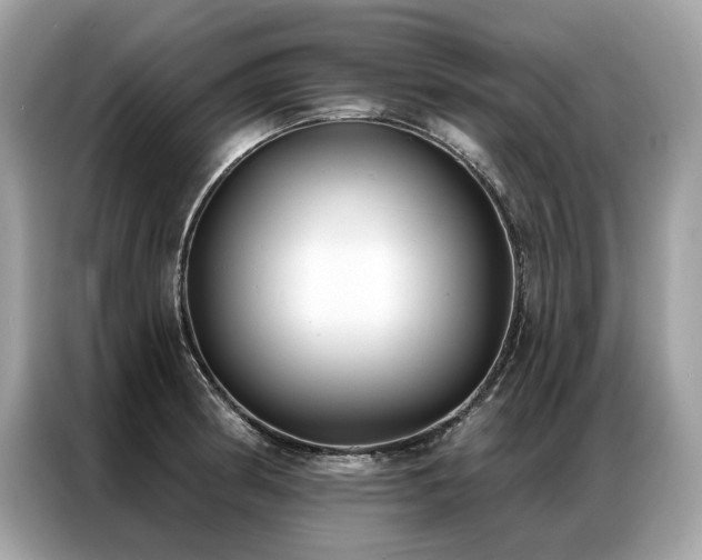 X0000087041186200704181209
