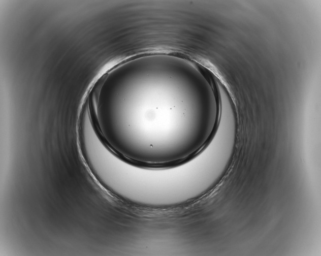 X0000087041187200704181209