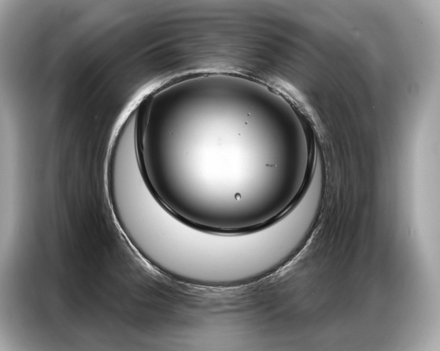 X0000087041188200704181209