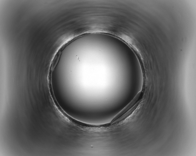 X0000087041189200704181209