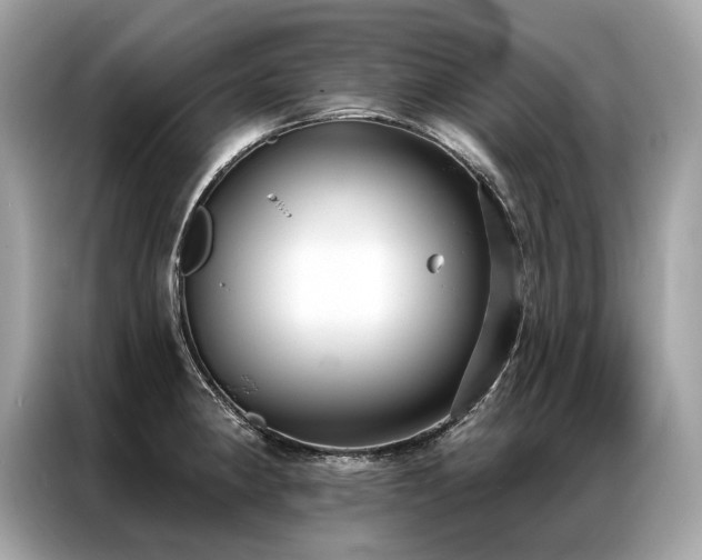 X0000087041190200704181209