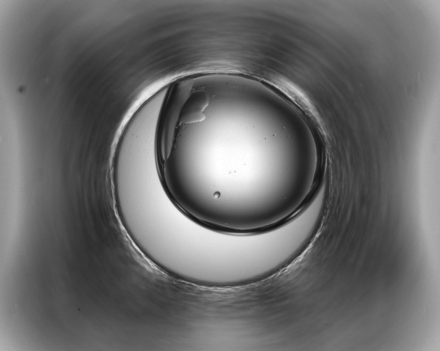 X0000087041192200704181209