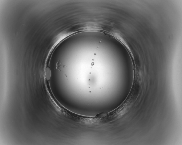X0000087041195200704181209