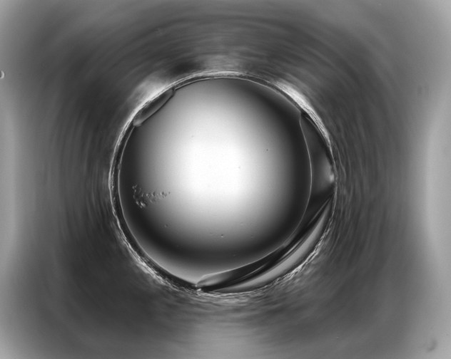 X0000087041197200704181209