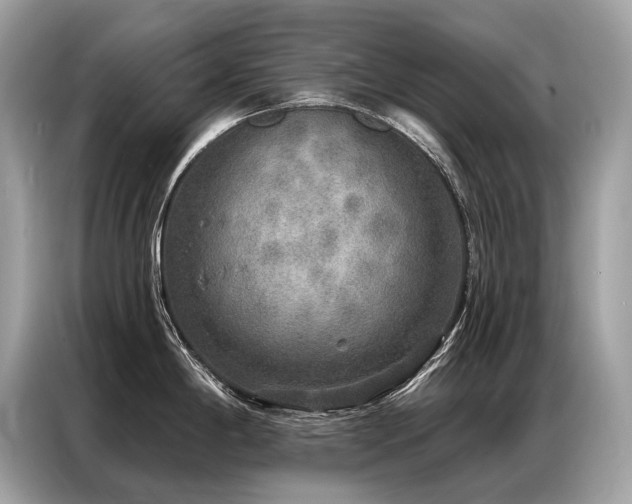 X0000087041198200704181209