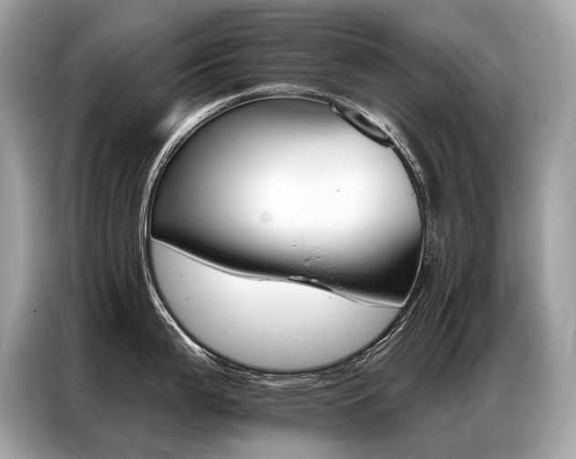 X0000087041199200704181209