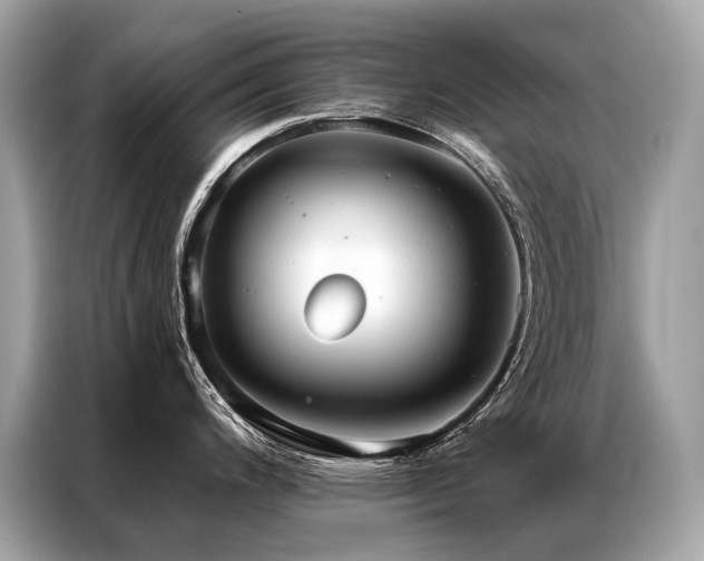 X0000087041200200704181209