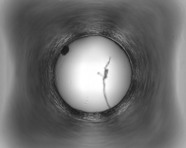 X0000087041201200704181208