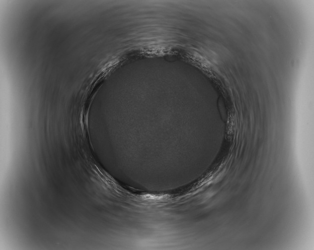 X0000087041202200704181208