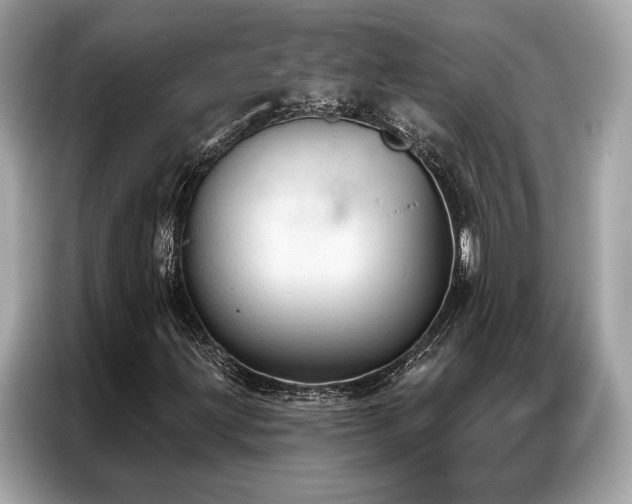 X0000087041203200704181208