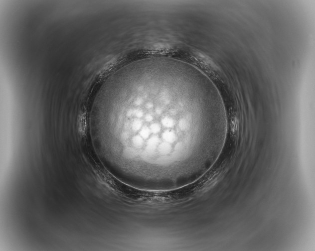 X0000087041204200704181208