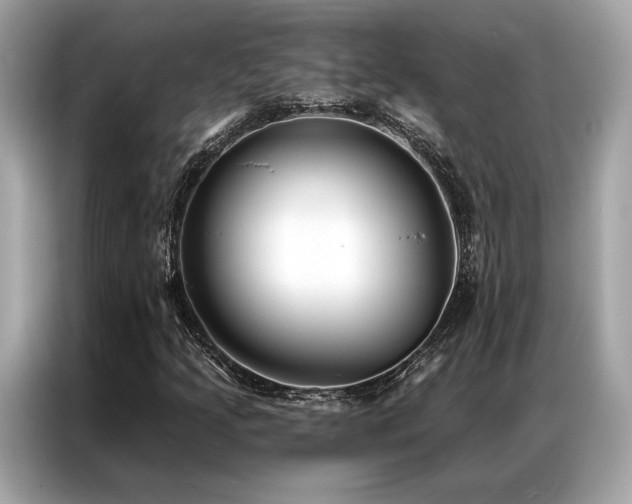 X0000087041205200704181208