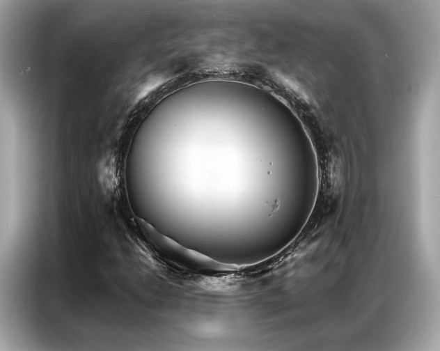 X0000087041206200704181208