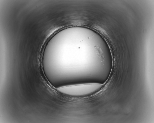 X0000087041212200704181208