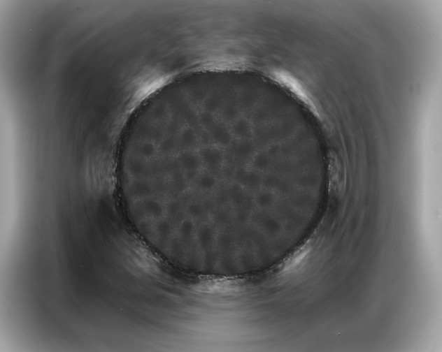 X0000087041213200704181208