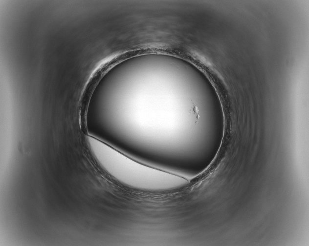 X0000087041214200704181208