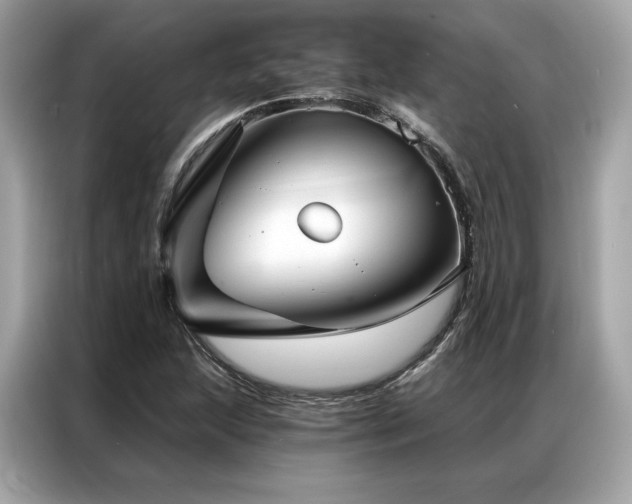X0000087041215200704181208