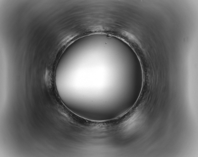 X0000087041217200704181208