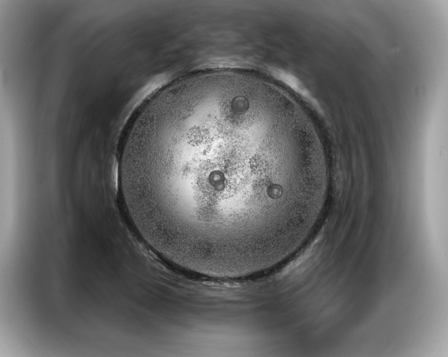 X0000087041221200704181208