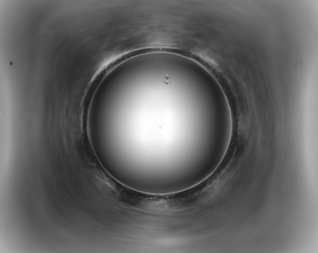 X0000087041222200704181208
