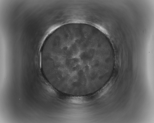 X0000087041223200704181208